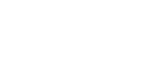 Logo- Αρτεμις - Ενοικιαζόμενα Διαμερίσματα στη Σκύρο